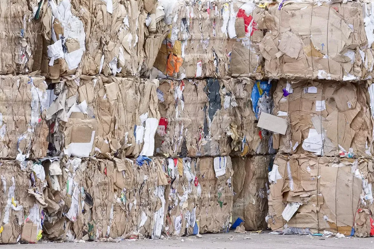回收纸和回收塑料供应商